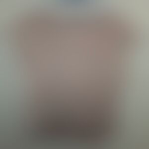 Express Women's Soft Pink Blouse